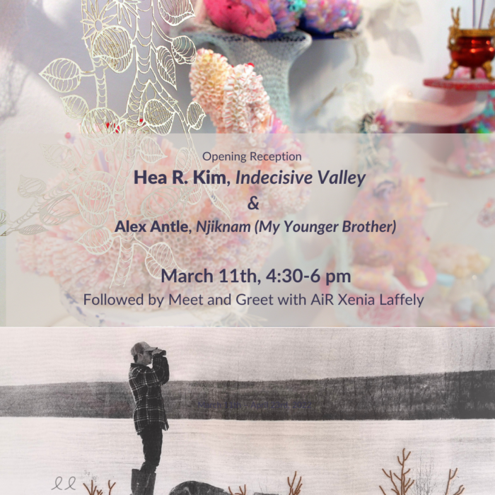 Eastern Edge Gallery Presents Hea R. Kim, Indecisive Valley March 11th – April 23 th, 2022 (Instagram Post) (2)