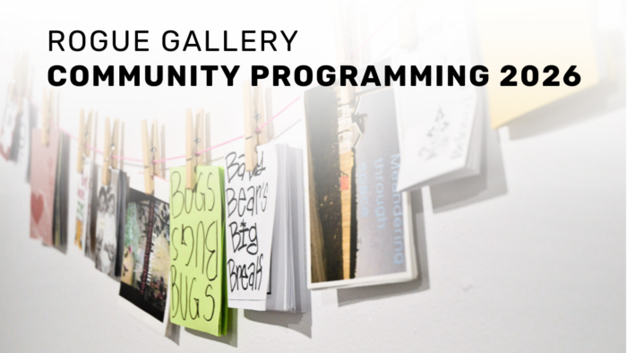 rOGUE Community Programming web thumbnail